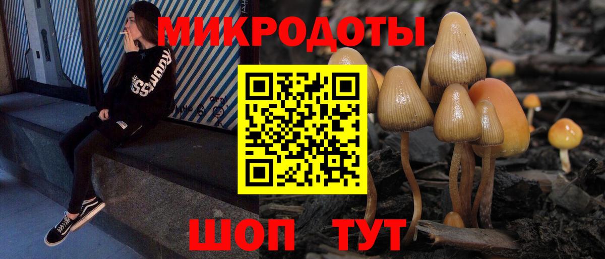 Чернушка  магазин  наркотиков  Вход с VPN  Псилоцибиновые грибы мицелий 